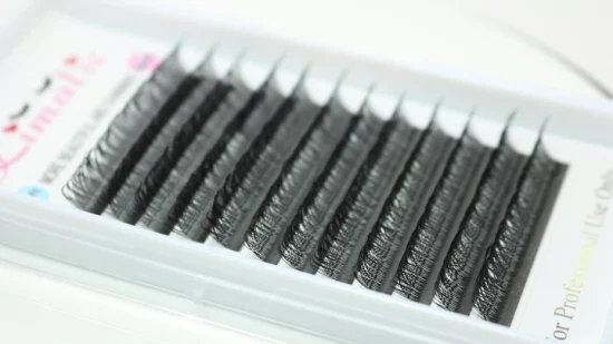 Levi Eyelashes Estensioni ciglia a forma di Y 2D Vendita all'ingrosso Yy Lashes 0.05mm 0.07mm Yy Lash Extensions Etichetta privata