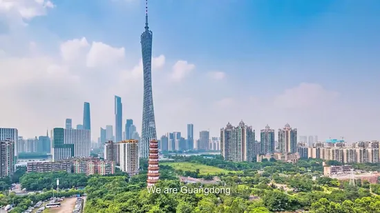 Mengfan Cina Fan Ciglia Ciglia di visone Etichetta privata di fabbrica Estensioni ciglia di visone finto Estensioni ciglia individuali Estensioni ciglia cosmetiche opache